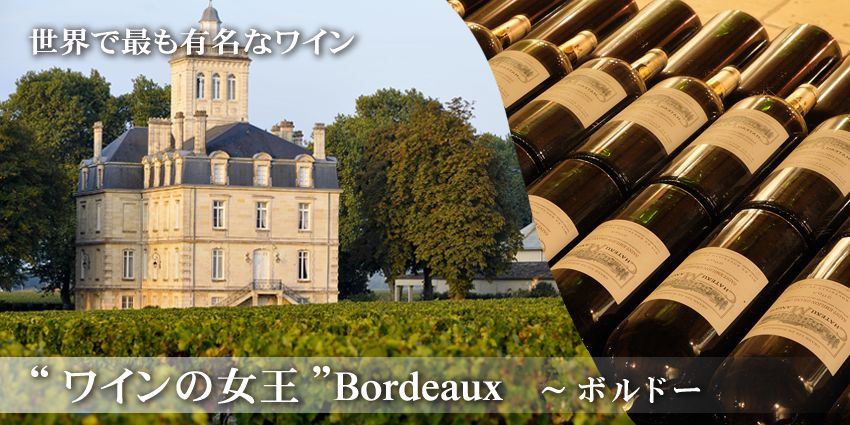 世界で最も有名なワイン　“ワインの女王ボルドー”Bordeaux
